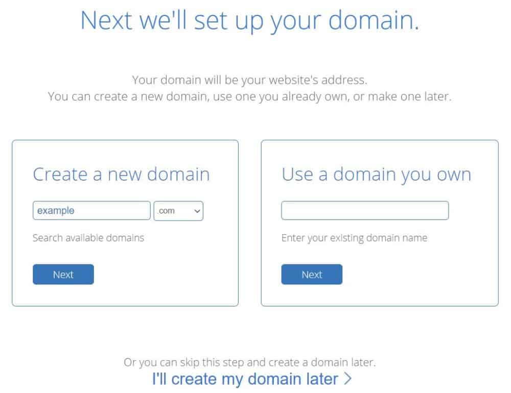 Bluehost domain name