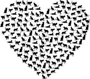 heart-cats-and-kittens-300x264