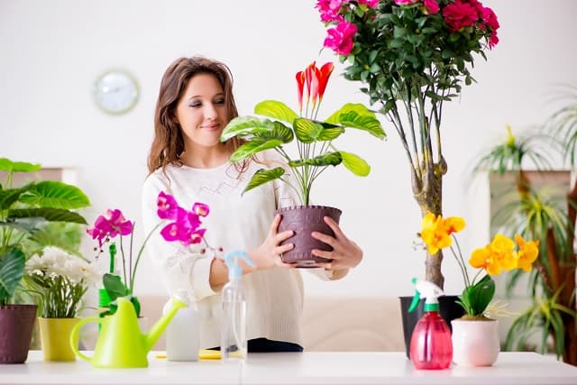 Woman pruning plants to sell